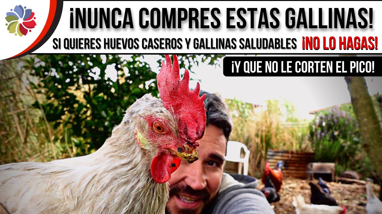 Precargar imagen