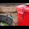 [ID: dhiC4XpYZqk] Youtube Automatic