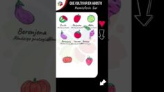 [ID: DIykmdLhwDk] Youtube Automatic