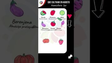 [ID: DIykmdLhwDk] Youtube Automatic