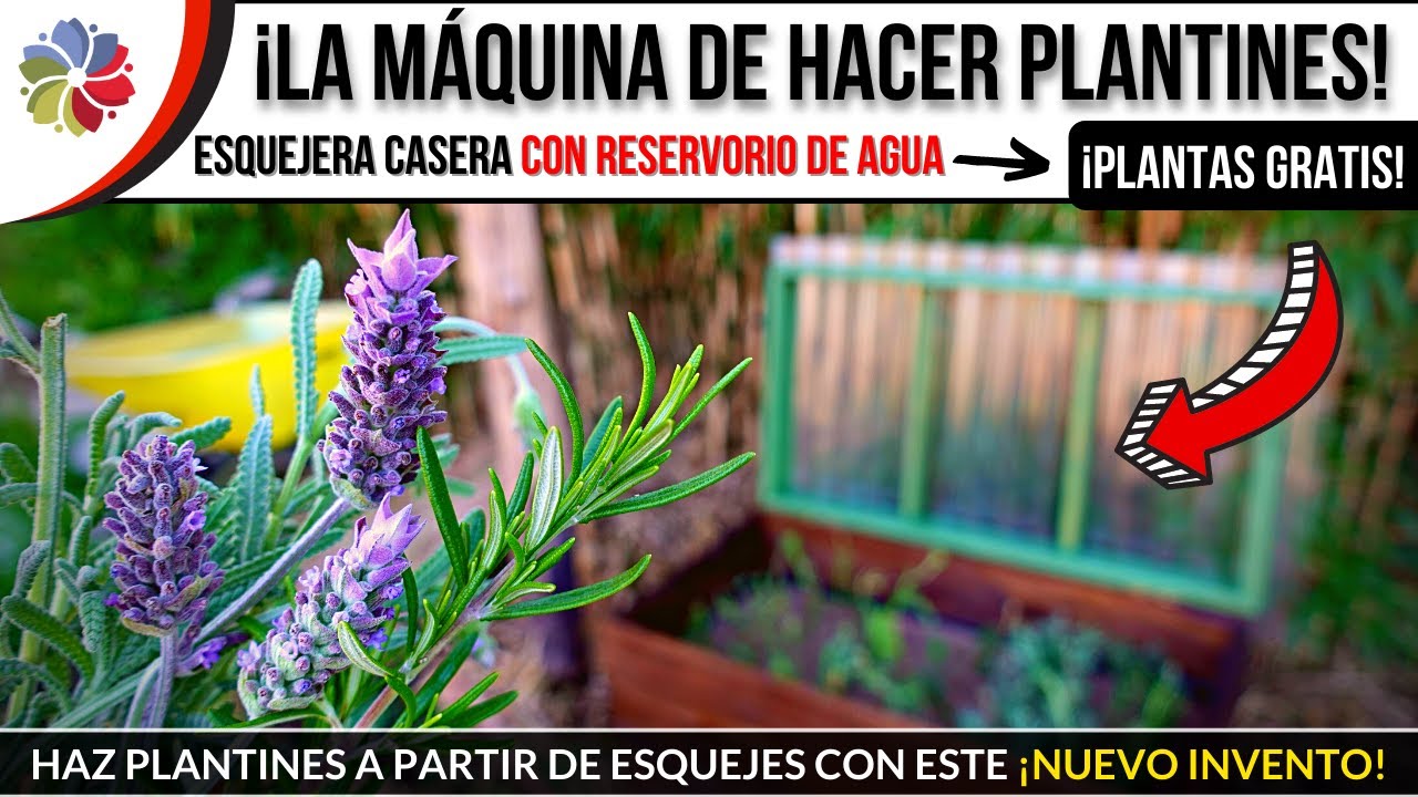 Precargar imagen