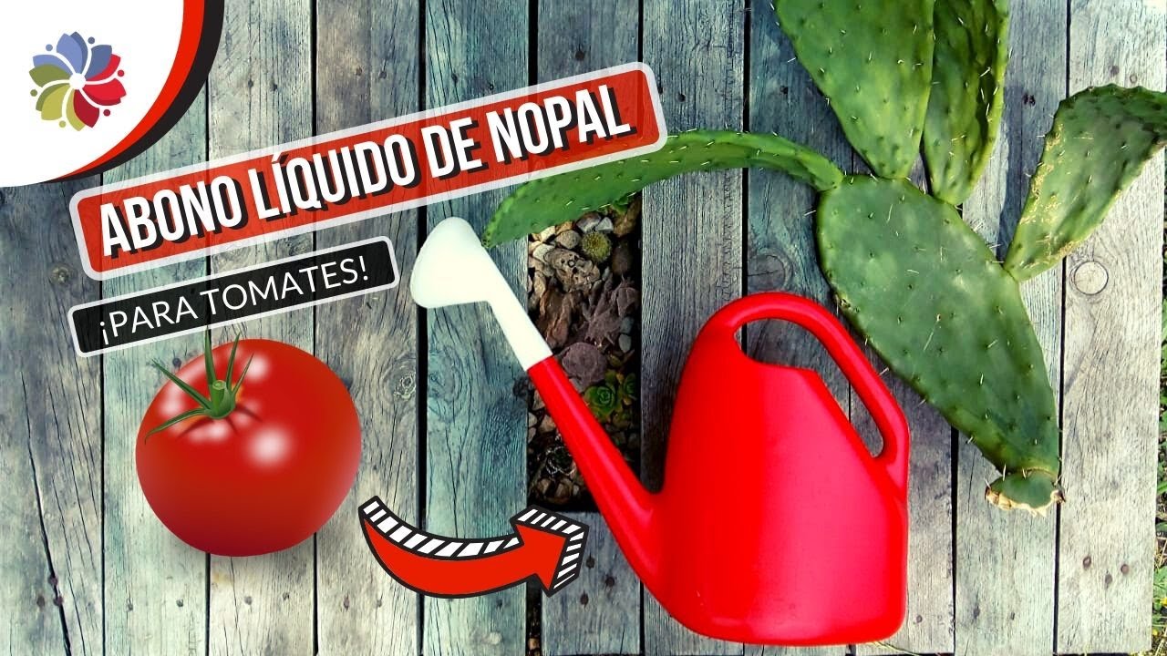 Precargar imagen