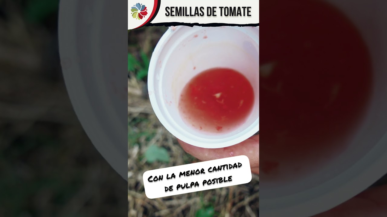 Precargar imagen
