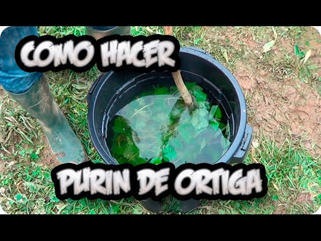 Precargar imagen