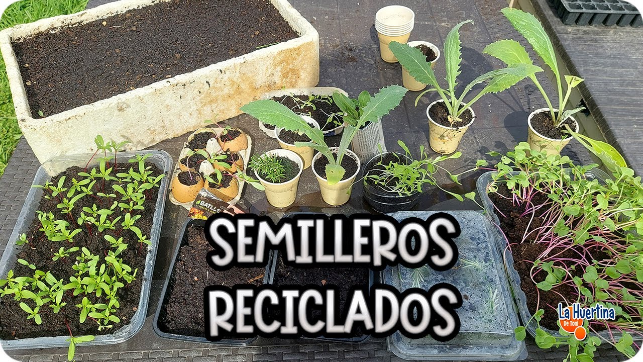 Precargar imagen