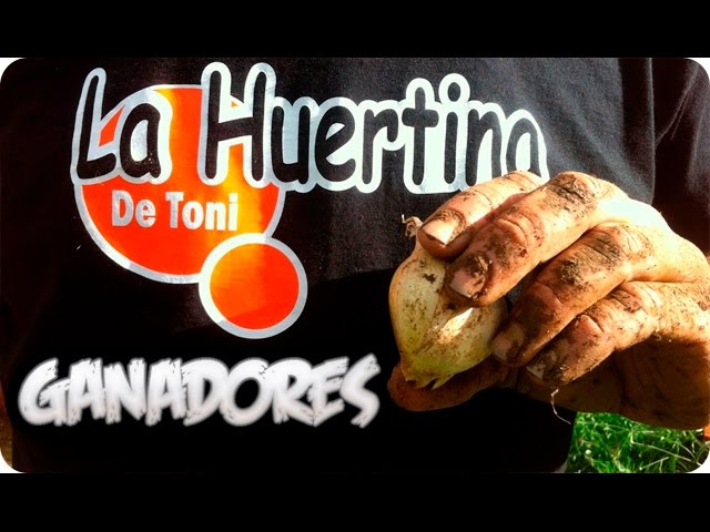 Precargar imagen