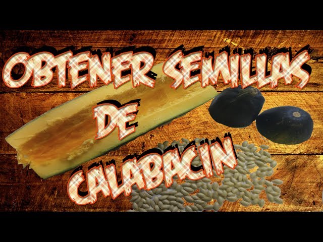 Precargar imagen