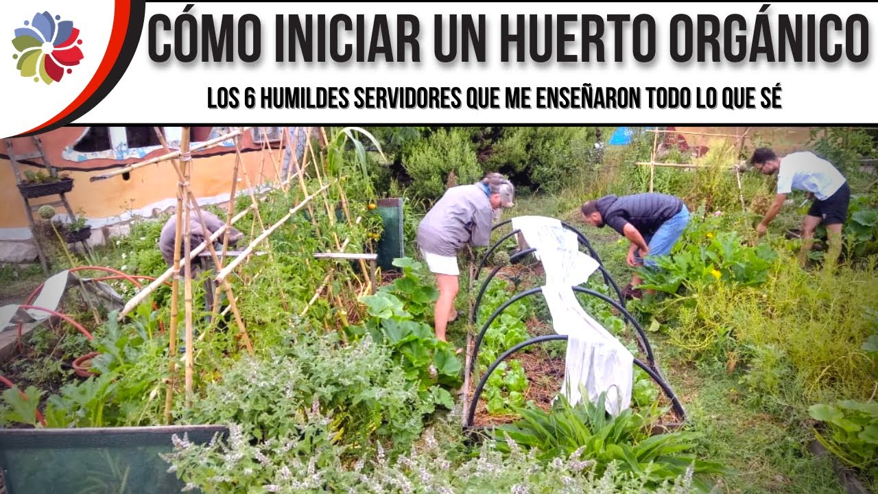 Precargar imagen