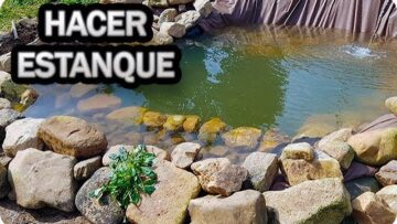 [ID: EQ2G9ogNnA4] Youtube Automatic