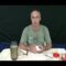 [ID: eXUyi9_4qk4] Youtube Automatic
