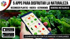 [ID: FAngrpkkglY] Youtube Automatic