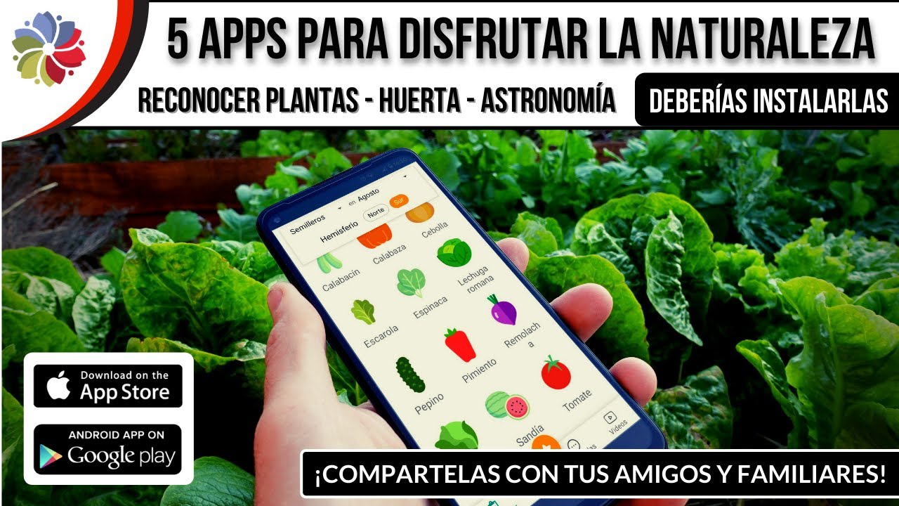 Precargar imagen
