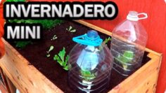 [ID: _FDD0TcO1mQ] Youtube Automatic