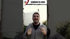 [ID: fKPeAbasBzo] Youtube Automatic