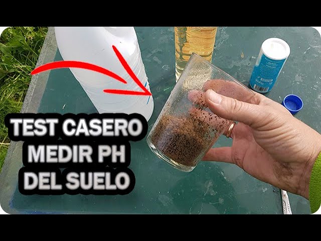Precargar imagen
