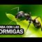 [ID: FPtbciOOA9I] Youtube Automatic