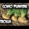 [ID: FsAbqac7d_o] Youtube Automatic
