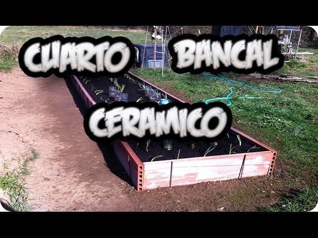 Precargar imagen