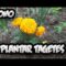 [ID: GeZ3JNGosLc] Youtube Automatic