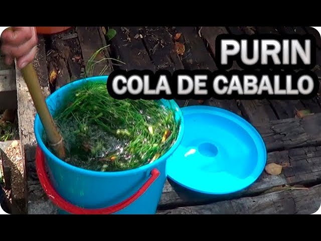 Precargar imagen