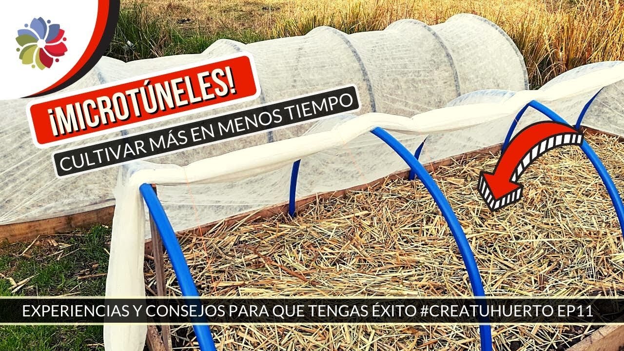 Precargar imagen