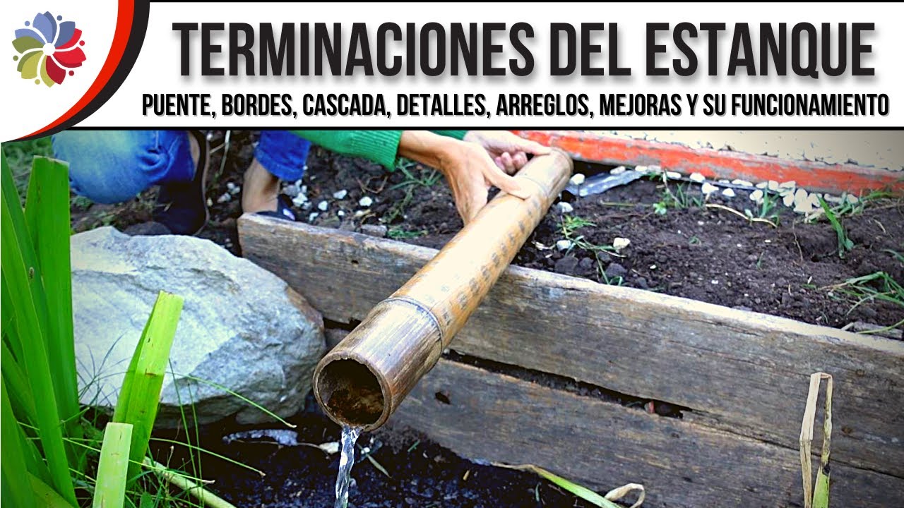 Precargar imagen