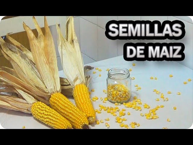 Precargar imagen