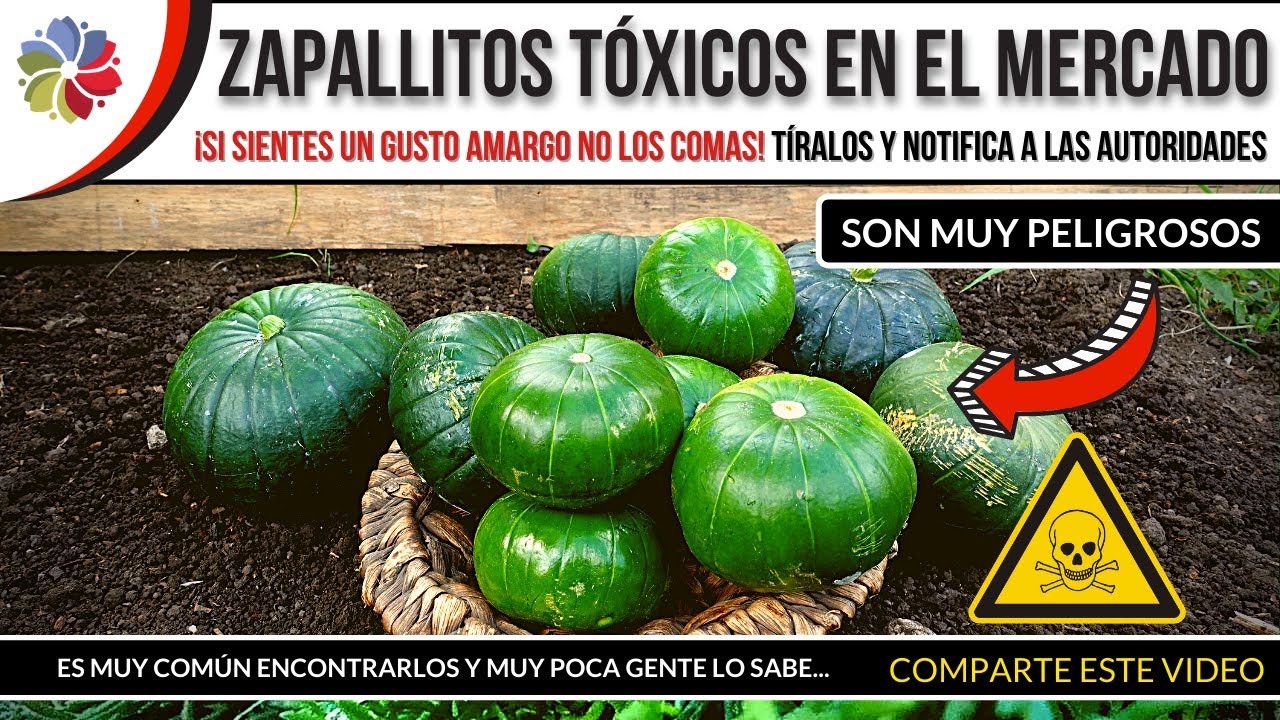Precargar imagen