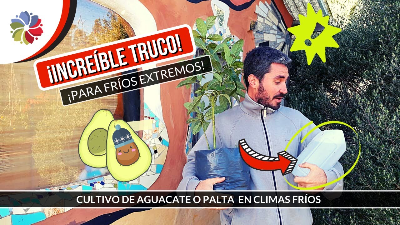 Precargar imagen
