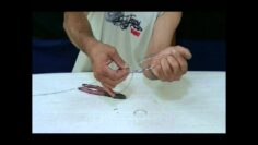 [ID: Hd75CvcH5dc] Youtube Automatic