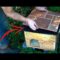 [ID: Hh8UqH1fuWA] Youtube Automatic