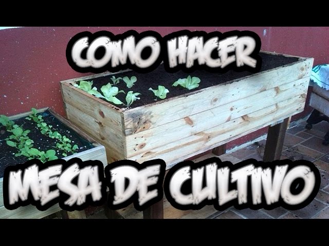 Precargar imagen