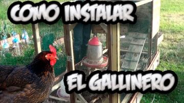 [ID: i7iQsRm2MmM] Youtube Automatic