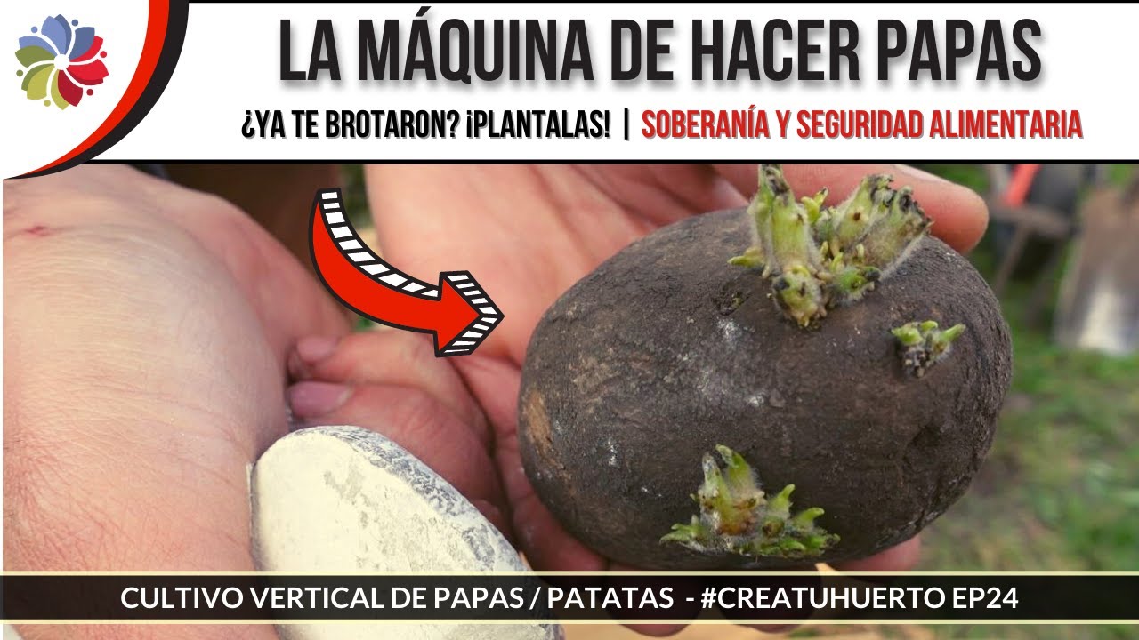 Precargar imagen