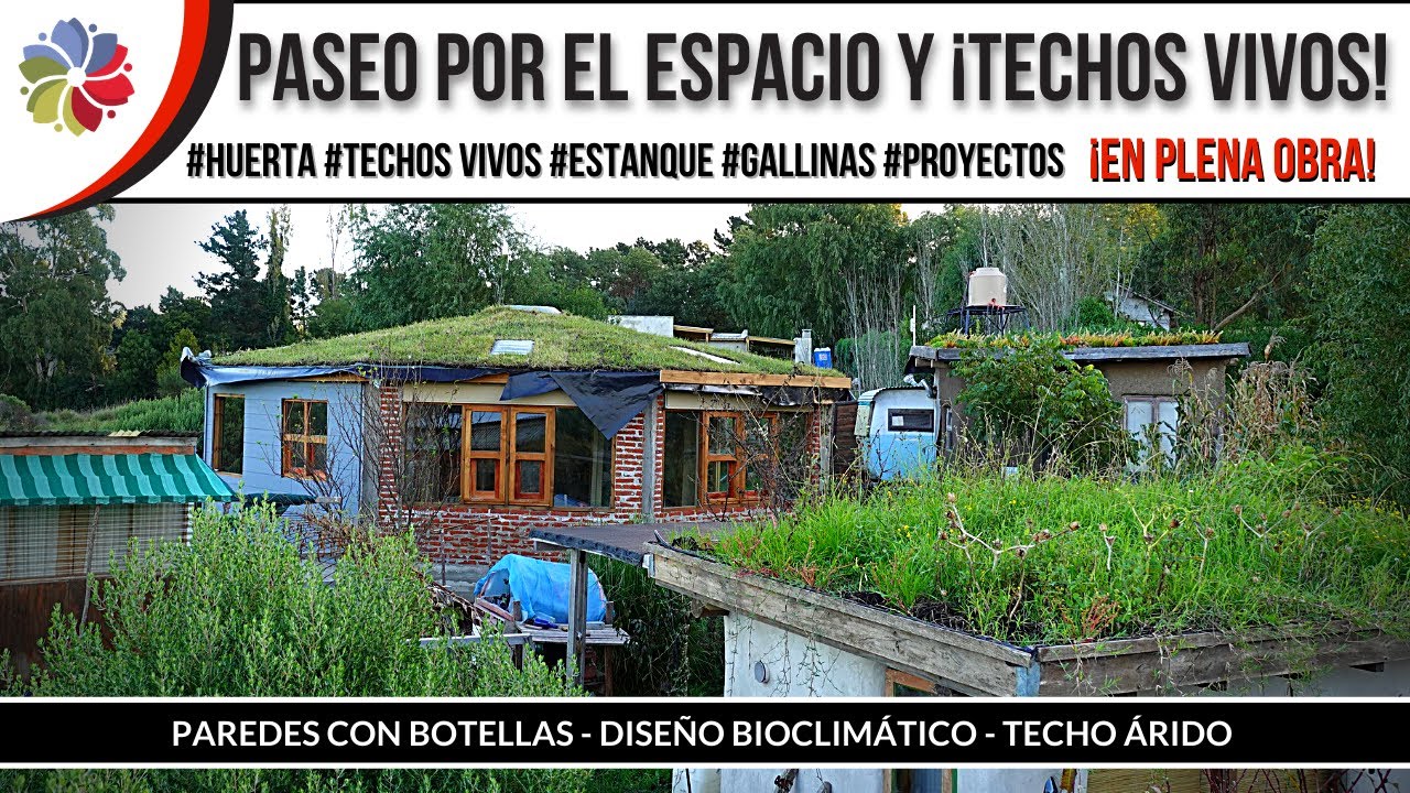 Precargar imagen
