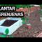 [ID: IpxCxsFOxtM] Youtube Automatic
