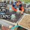 [ID: JCgp5hYsn4g] Youtube Automatic