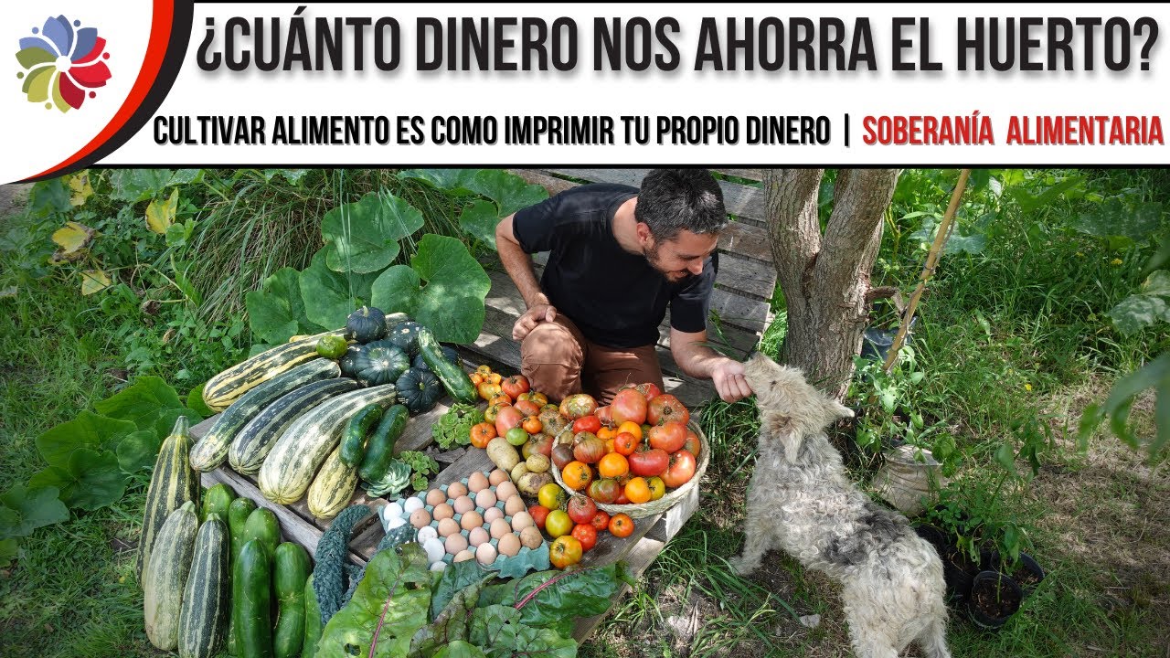 Precargar imagen