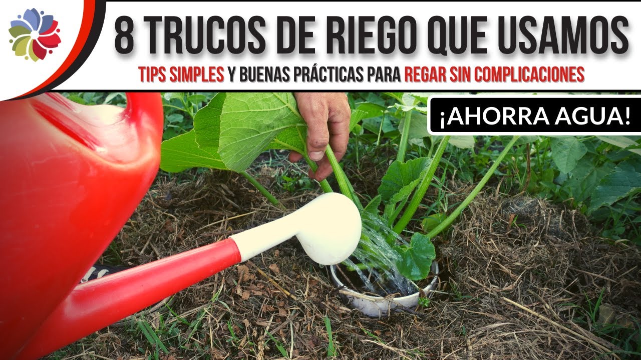 Precargar imagen