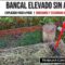 [ID: -jNKRdJSPpg] Youtube Automatic