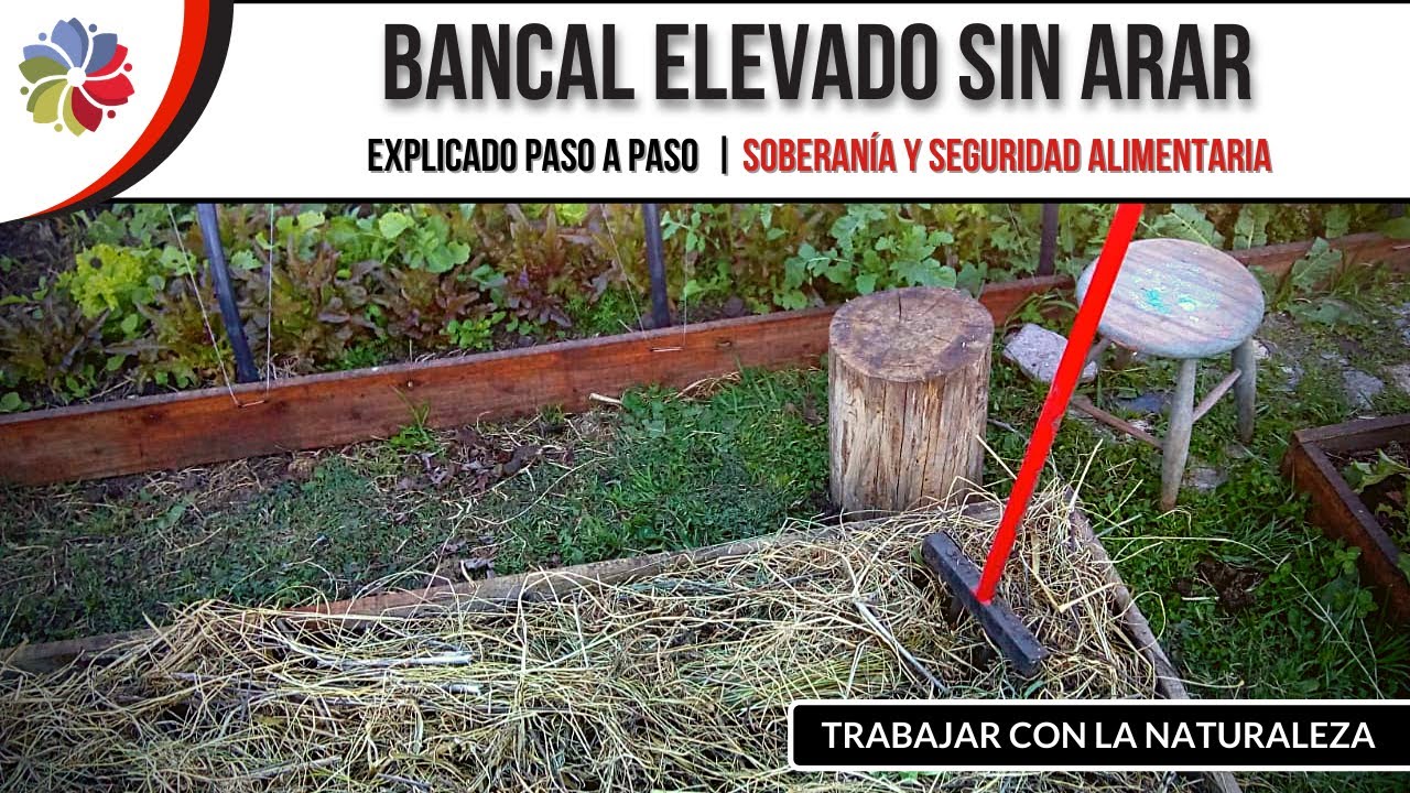 Precargar imagen
