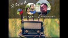 [ID: k4hOzWIt0r8] Youtube Automatic