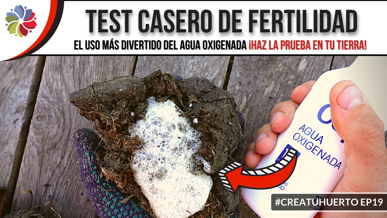 Precargar imagen