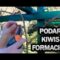 [ID: kDI3nmAUBM4] Youtube Automatic