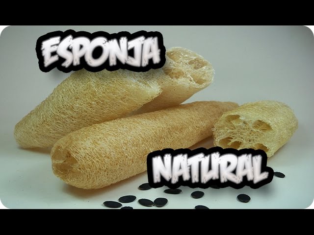 Precargar imagen