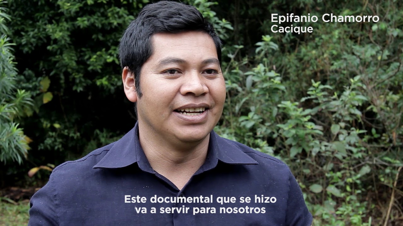 Precargar imagen