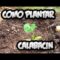 [ID: KQNuSeRXBMo] Youtube Automatic