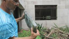 [ID: LDo-WgKZSa0] Youtube Automatic