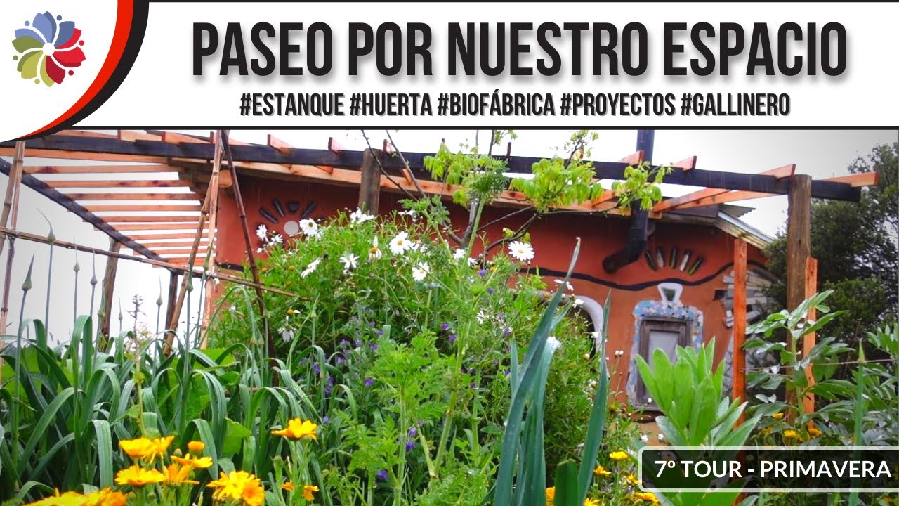 Precargar imagen
