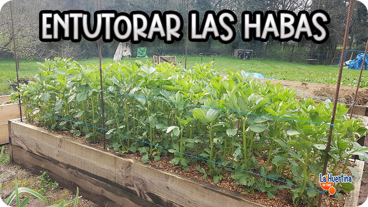Precargar imagen